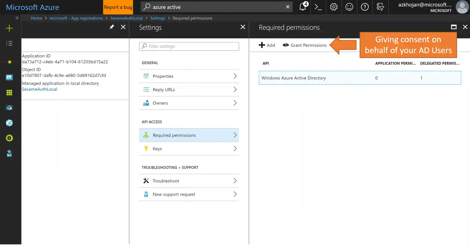 Screenshot of granting permission step 4