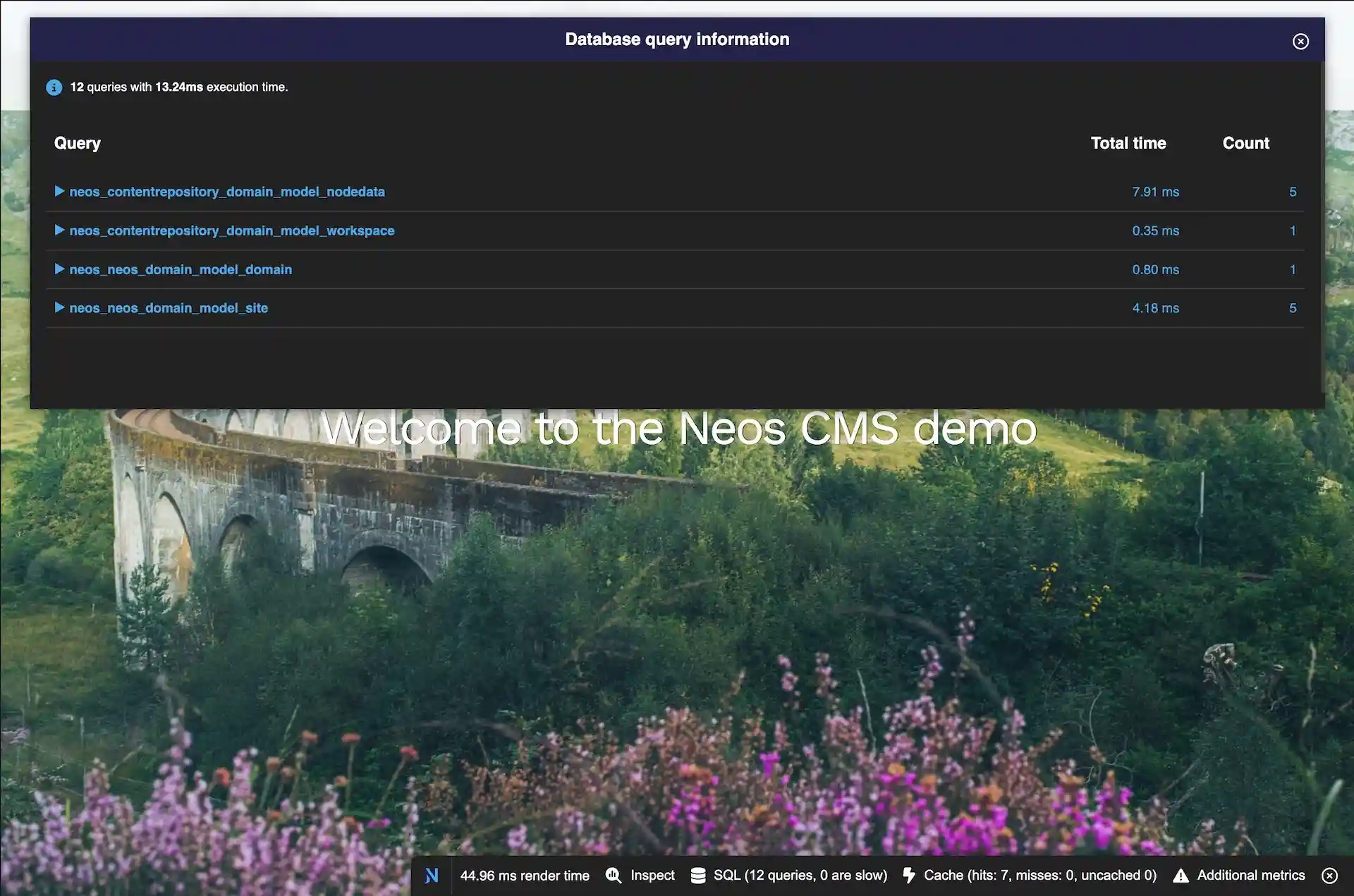 Neos CMS Demo Site with debug console showing database queries