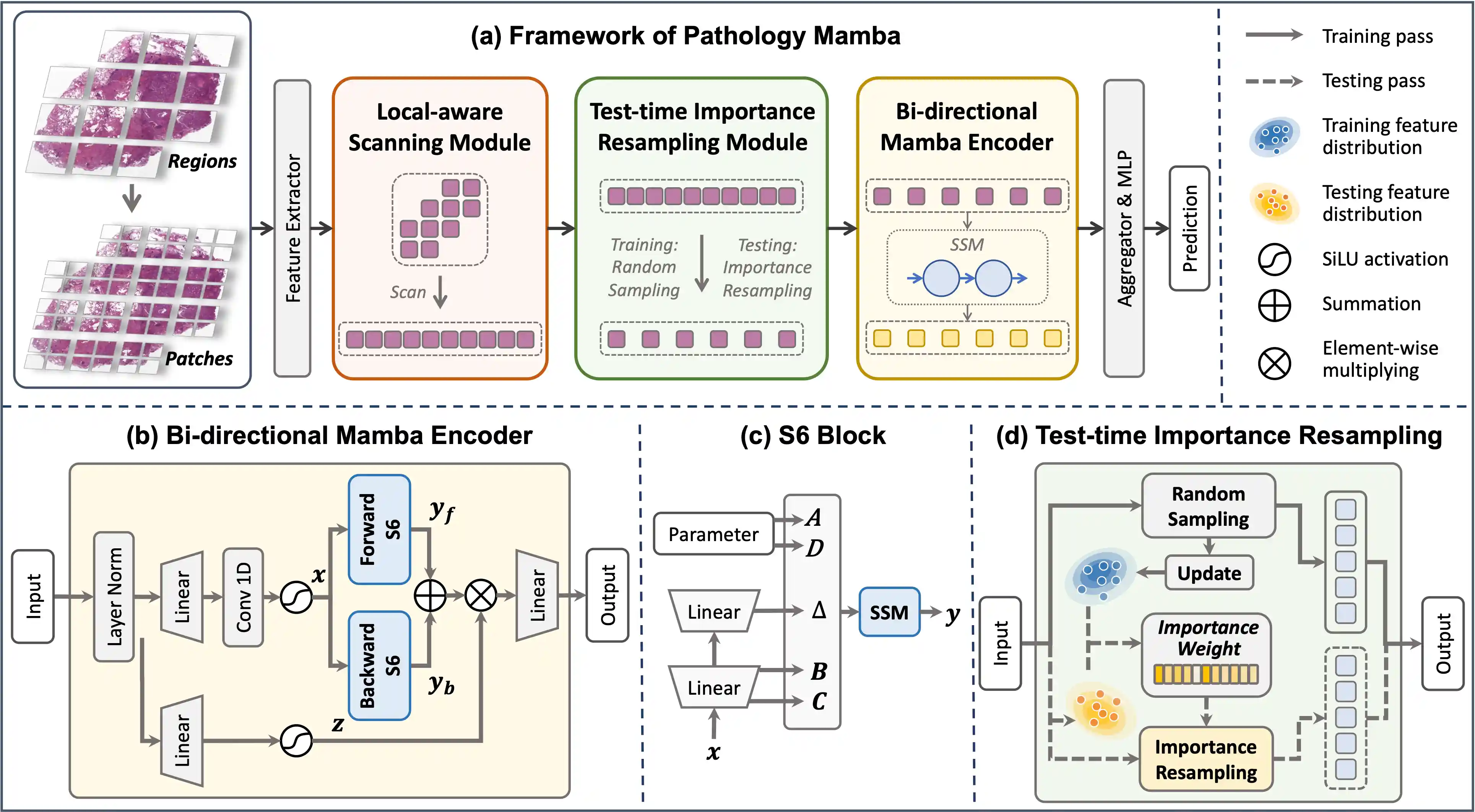 Model Structure