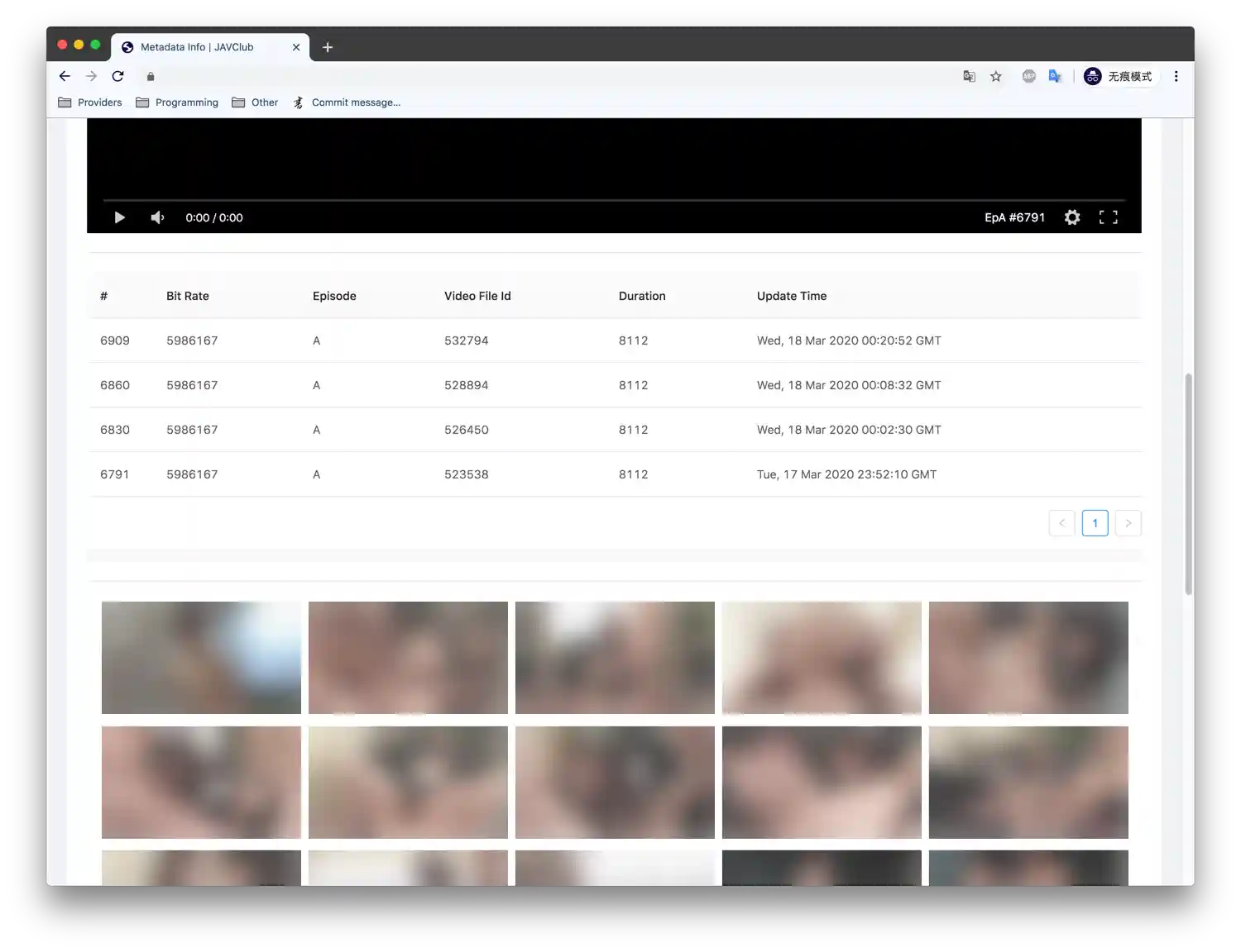 Metadata Info Bottom