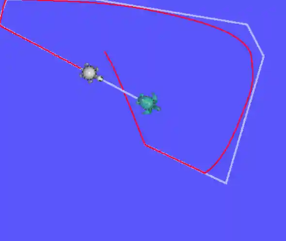 Turtle Following Example