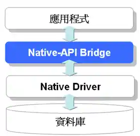 Type 2: Native-API Bridge