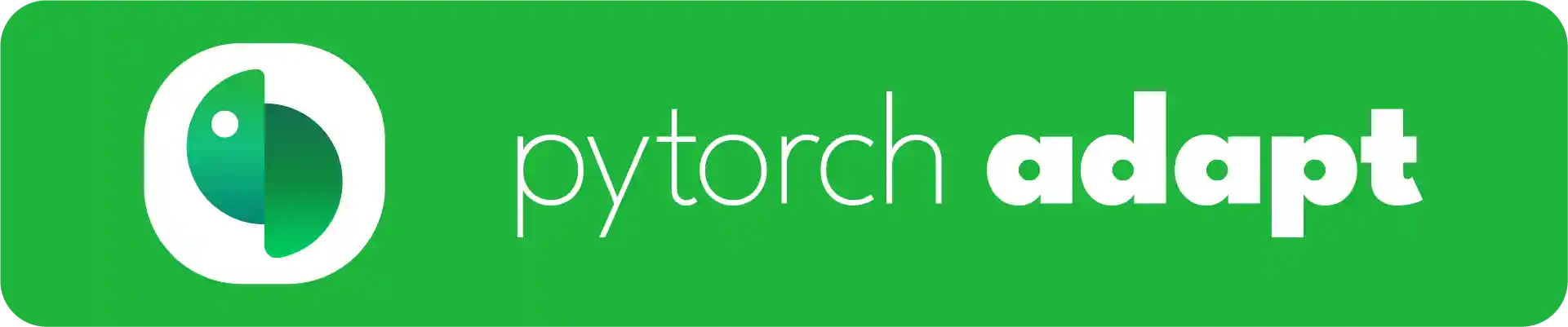 PyTorch Adapt