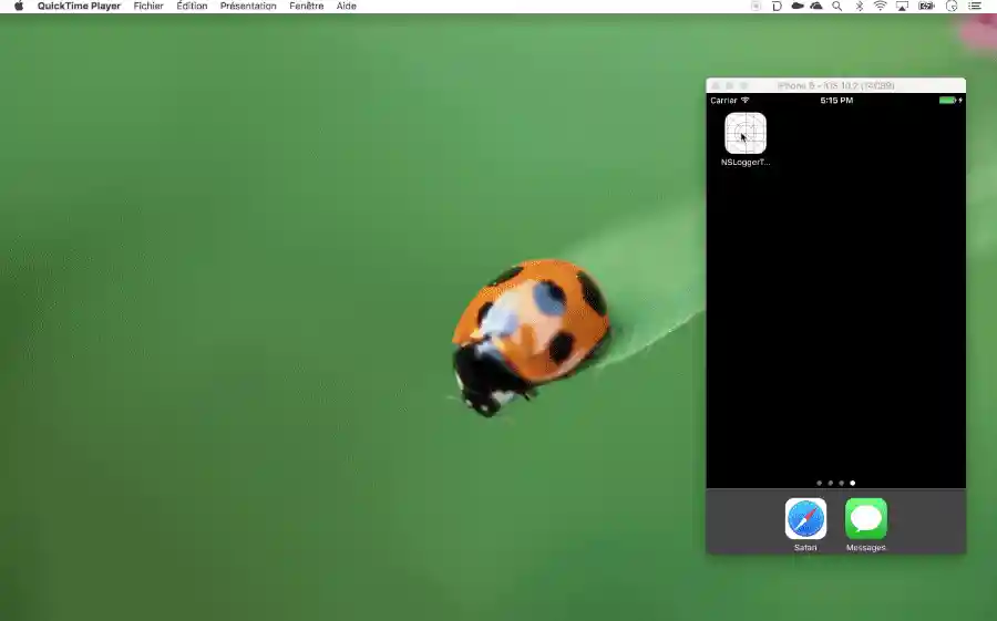 Viewer Demo