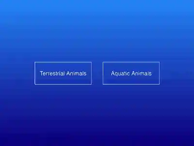 å�¾ç��æ��è¿°