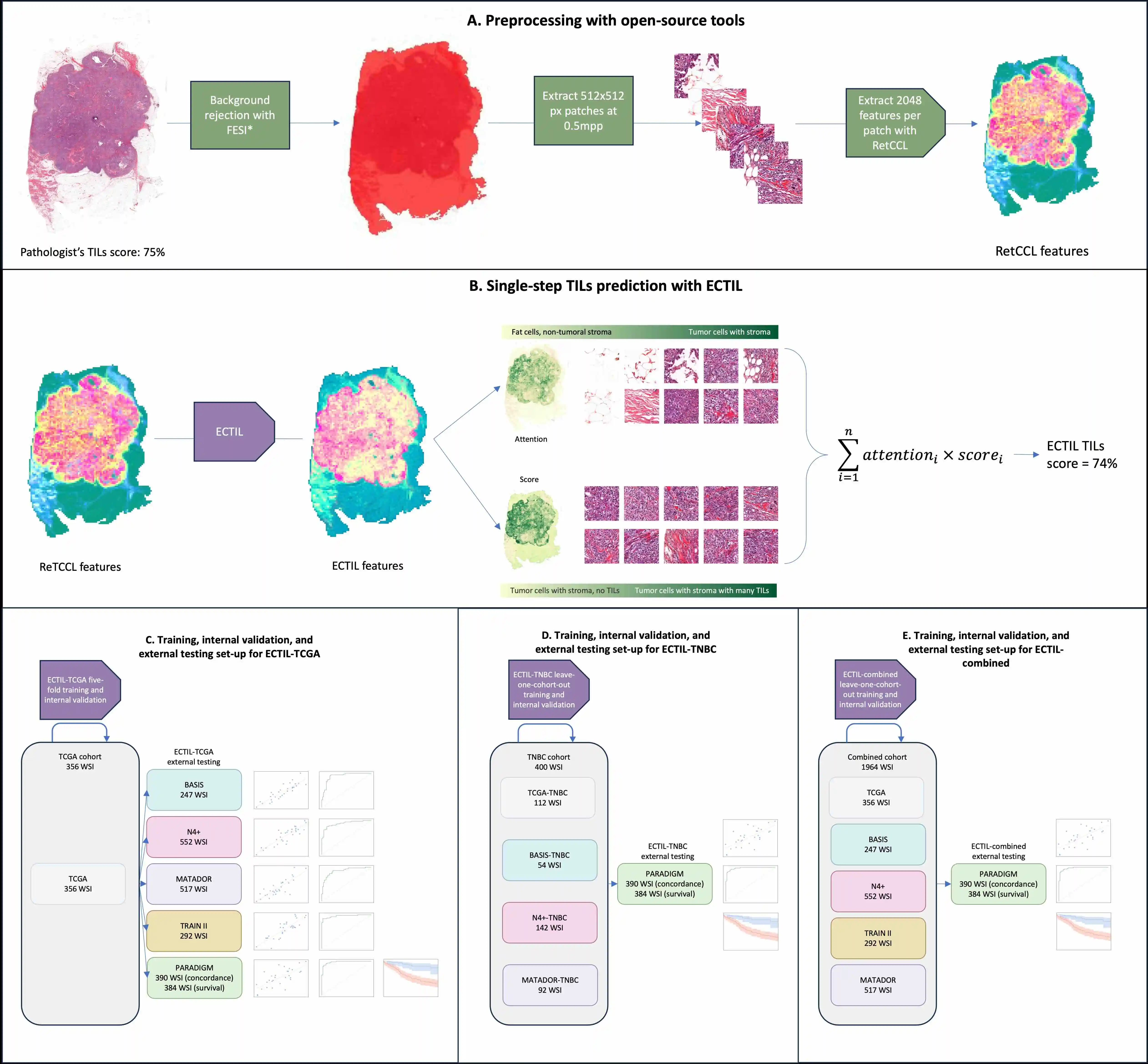 Main model figure of ECTIL