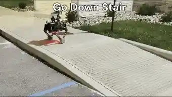 GIF 4