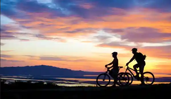 cycle(300-175).png