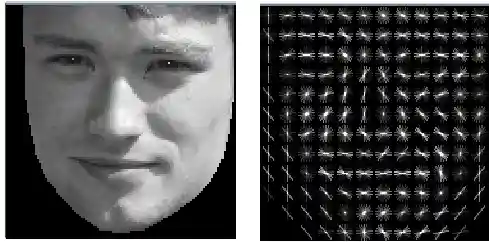 Sample aligned face and HOG image