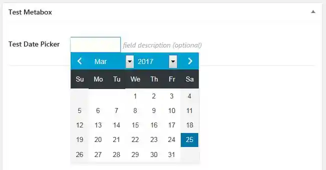 Screenshot of text_date CMB field type