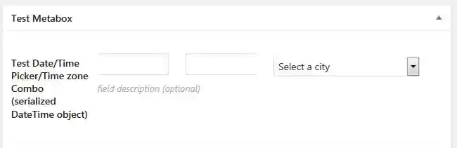 Screenshot of text_datetime_timestamp_timezone CMB field type
