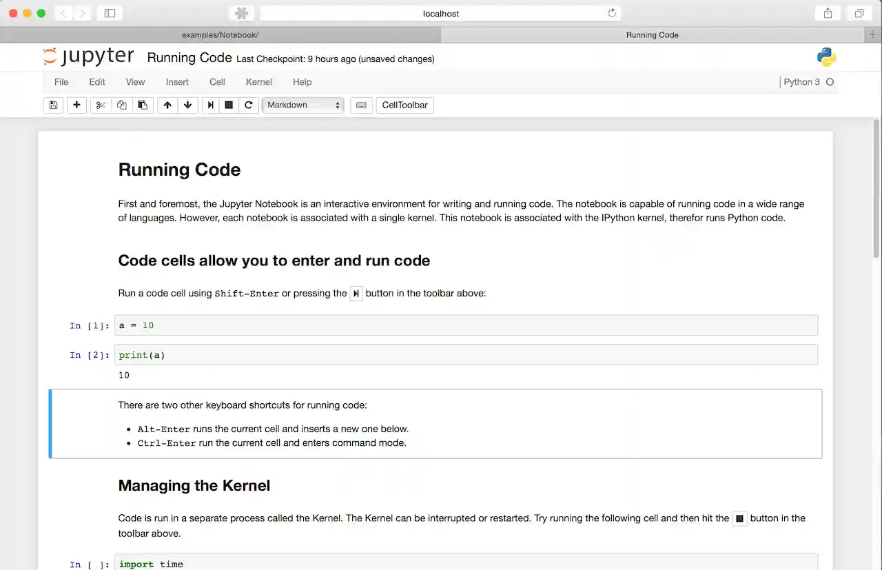 Jupyter notebook example
