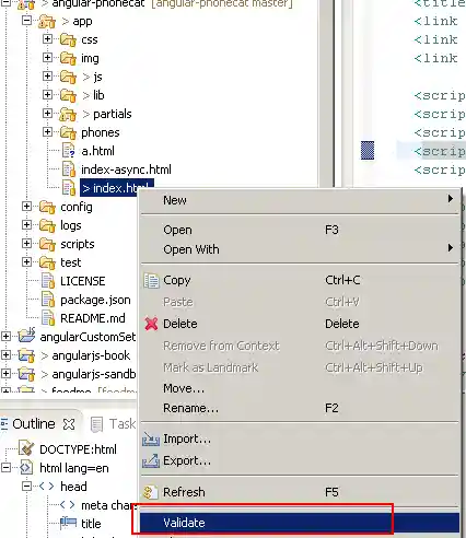 HTMLAngularValidatorValidate