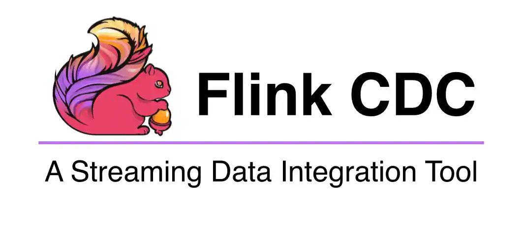 Flink CDC
