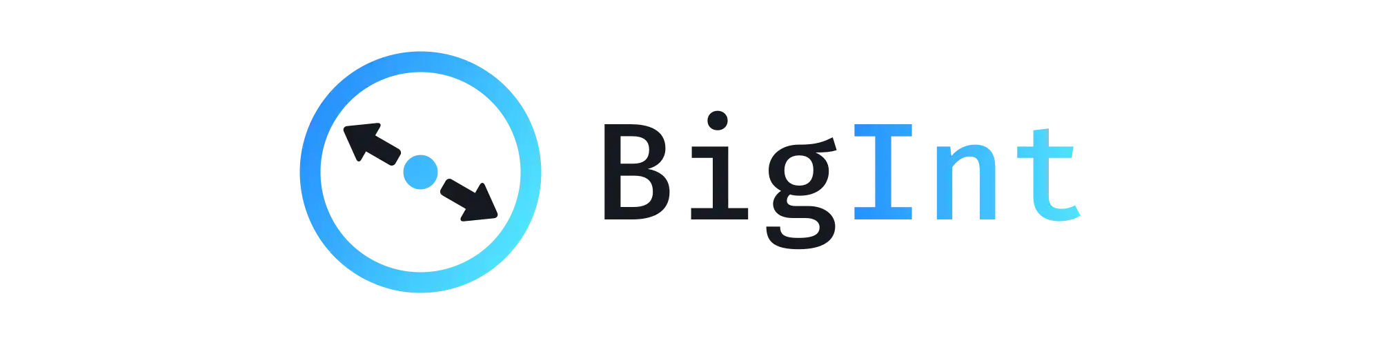 BigInt