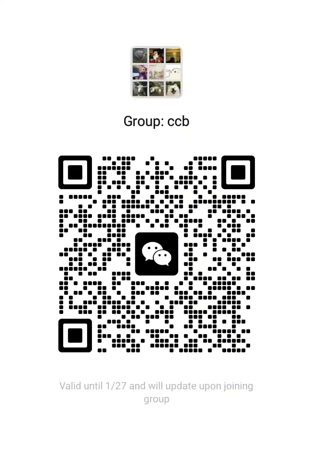 WeChat Group