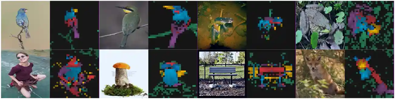 iBOT Global Pattern Layout