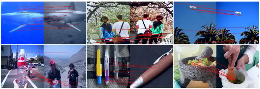 iBOT Global Pattern Layout