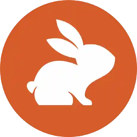 Code Rabbit