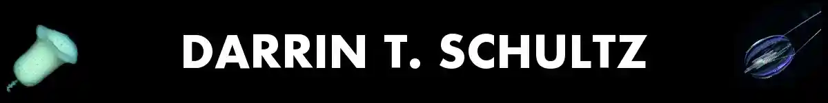 Darrin T. Schultz — deep-sea sponge and ctenophore