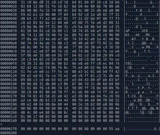 TetrOS - Machine code
