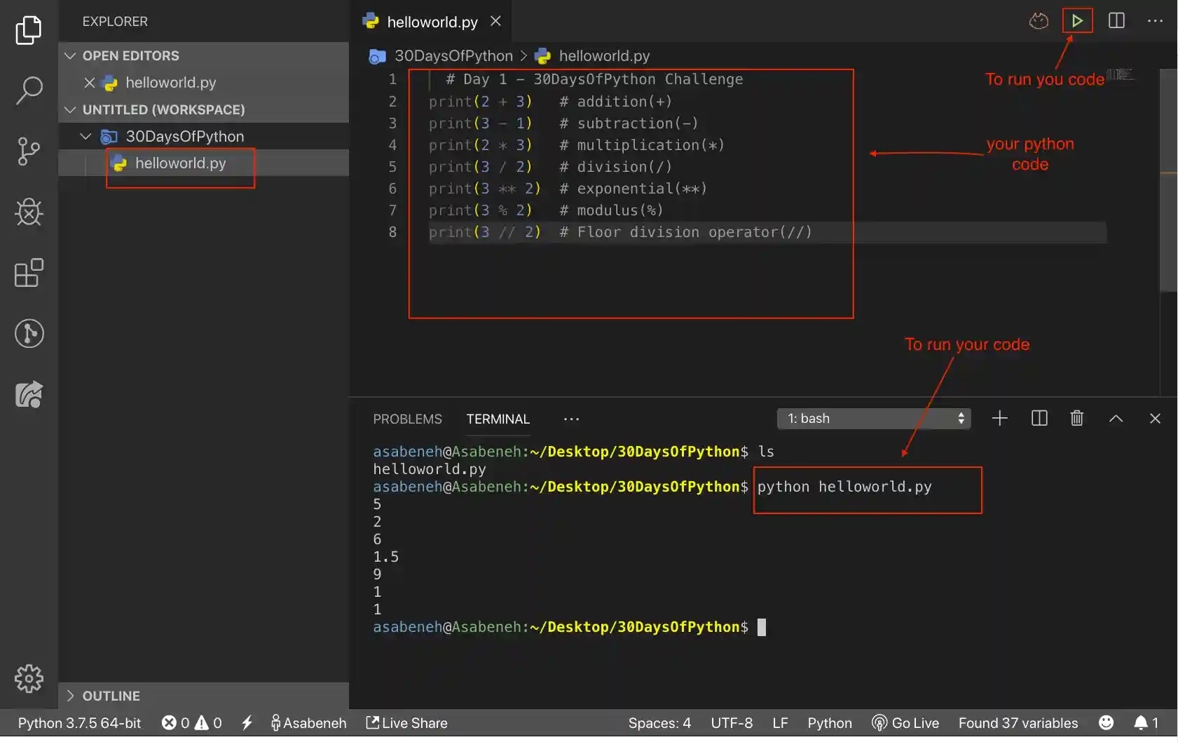 Running python script