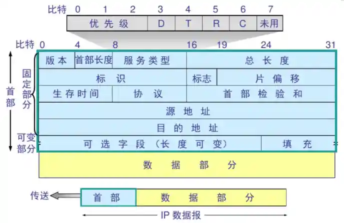 IP数据报格式
