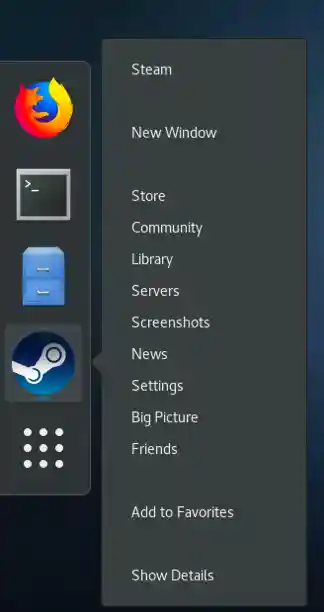 steam launcher screen shot