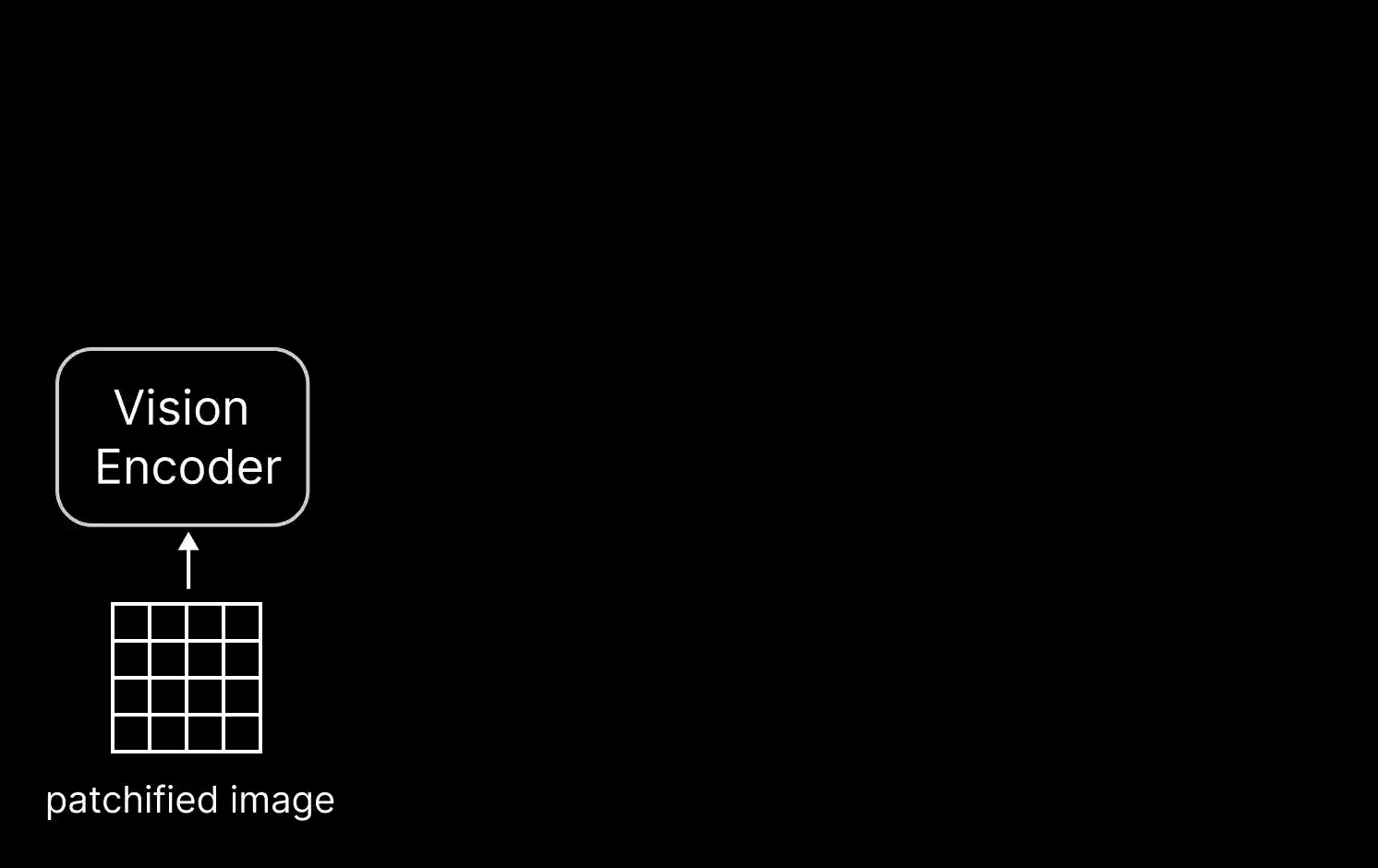 PatchSAE visualization