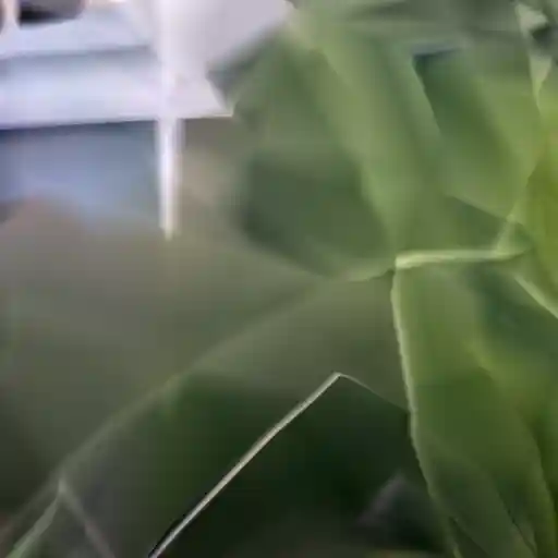 Reconstruction without Fourier features