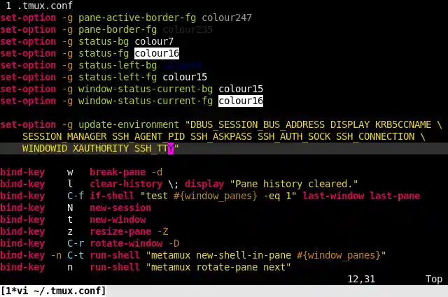 Screenshot of tmux configuration in Vim