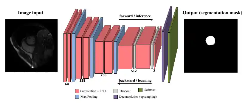 LVNet overview
