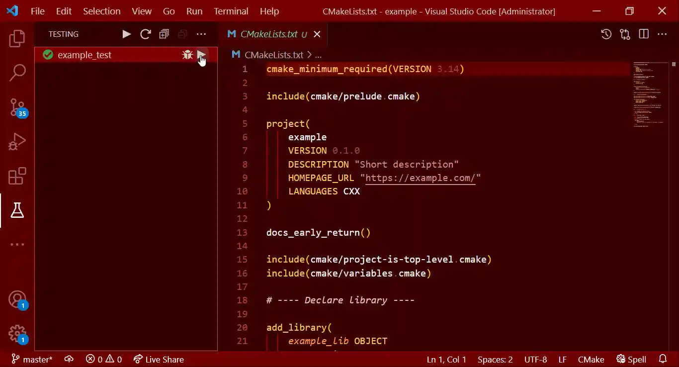 Testing the project in VSCode