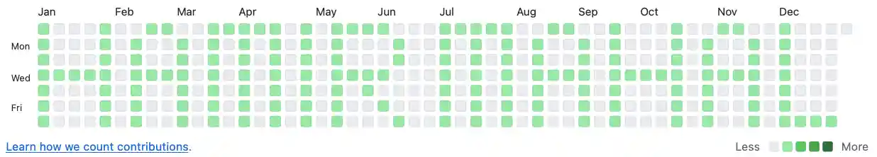 contribution graph with squares populated to spell "HAMIR MAHAL"