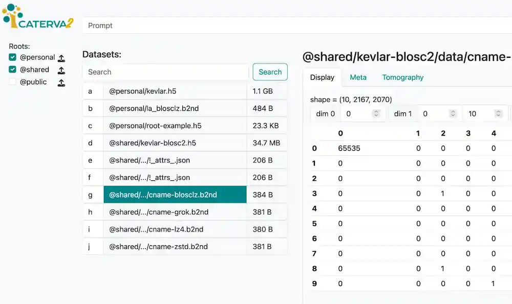 Figure: web data browser and viewer