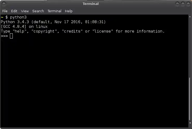Running Python on my terminal.