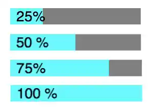 Loading progress bar