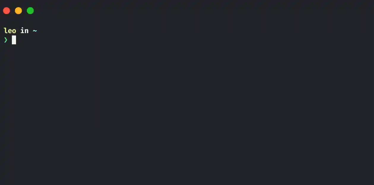 npx command