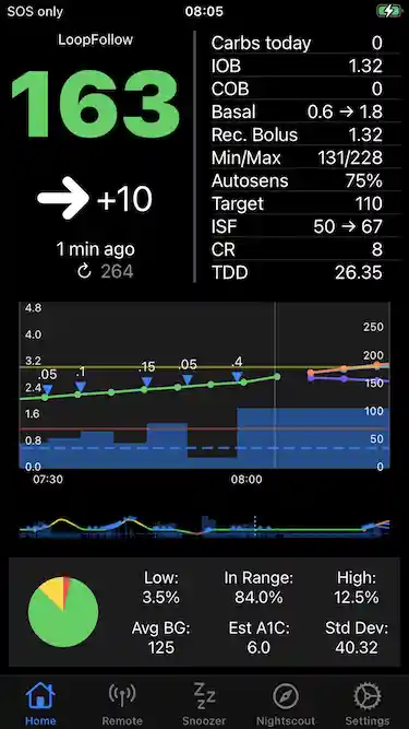 example of main screen for LoopFollow