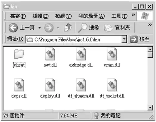 公用 JRE 沒有 server 選項