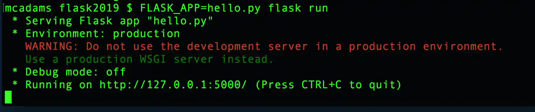 Results of FLASK_APP=hello.py flask run
