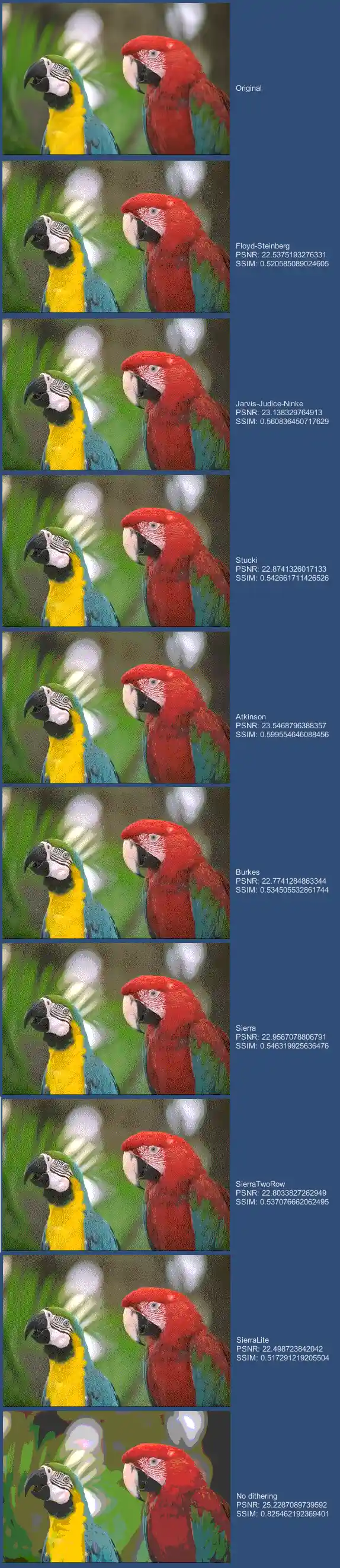 Parrots