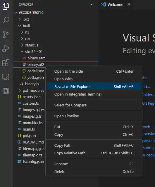 Screenshot of VS Code with the right-click context menu open over the file binary.uf2