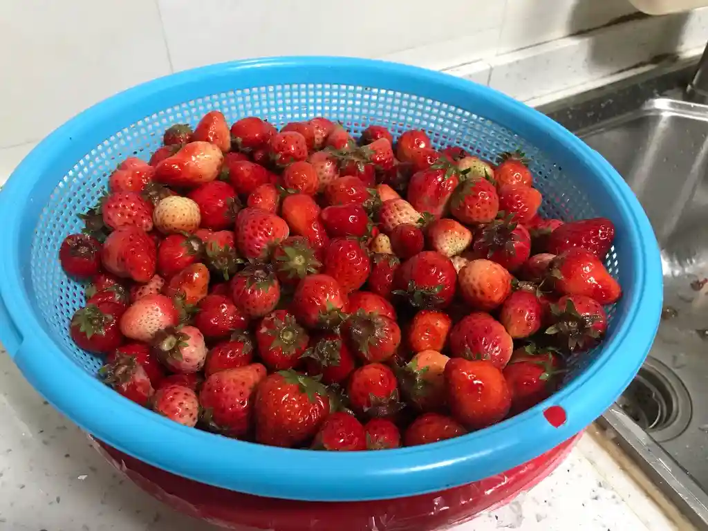 洗好的草莓