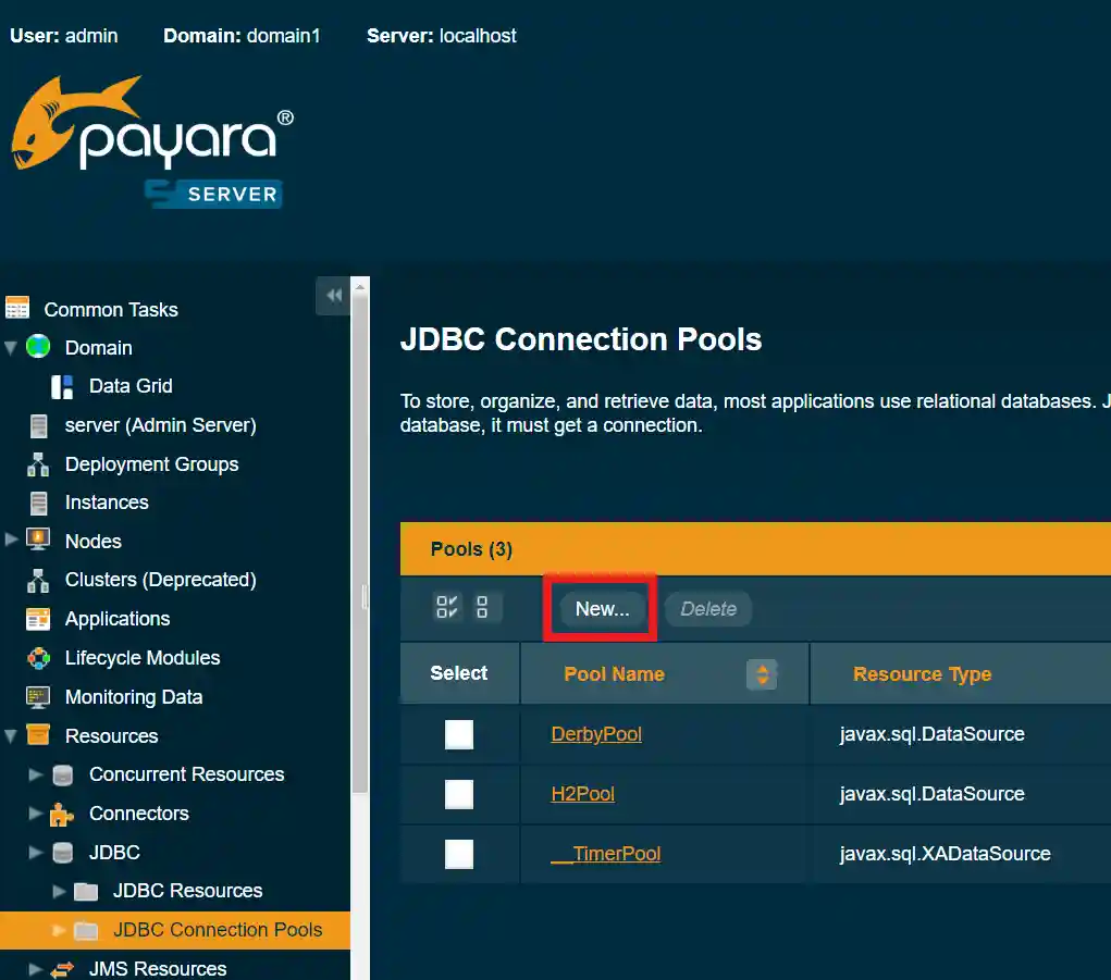 Payara - creating new connection pool