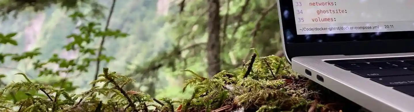 Coding in woods header image