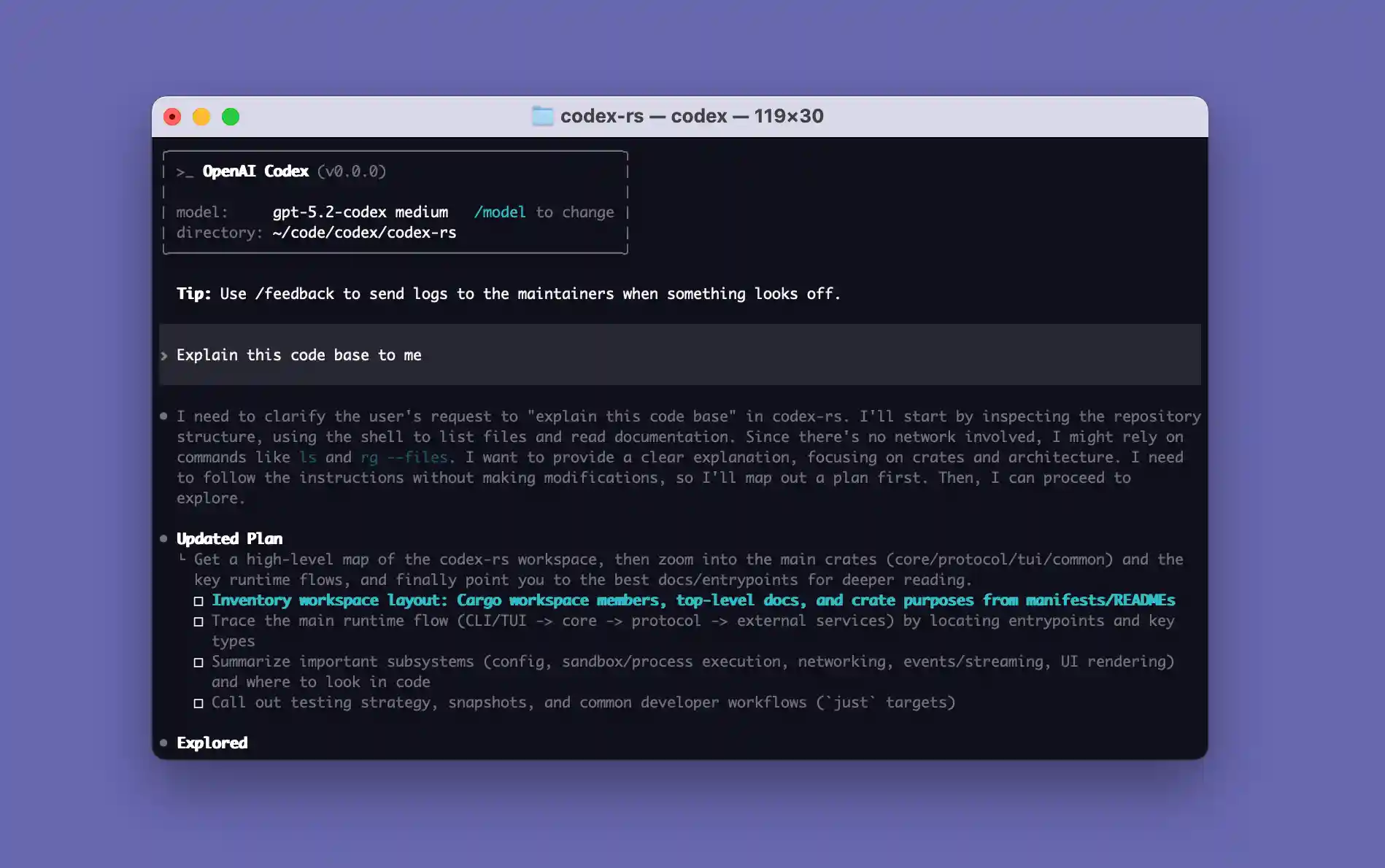 Codex CLI splash