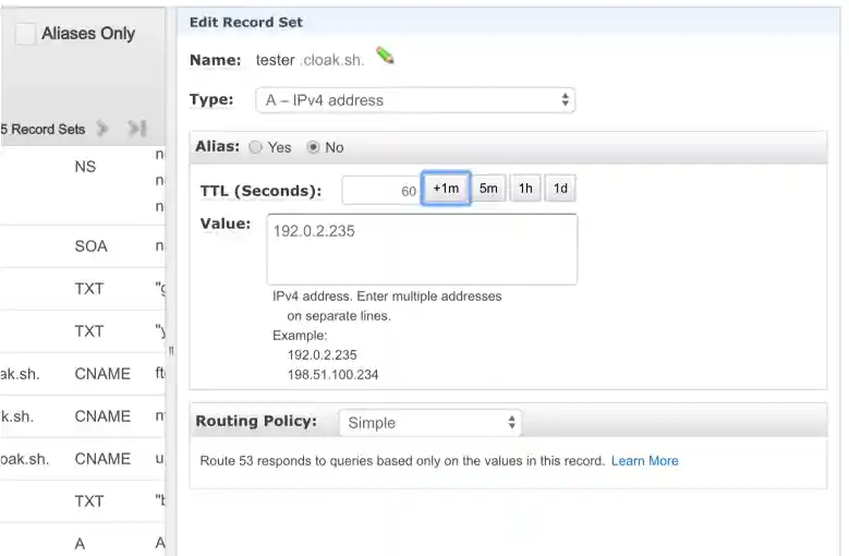 Image of setting up DNS A record