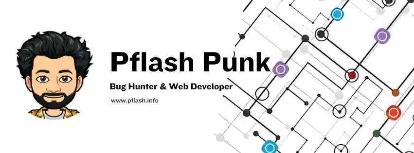 Banner about Pflash Punk