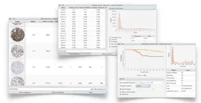 Analytics and export